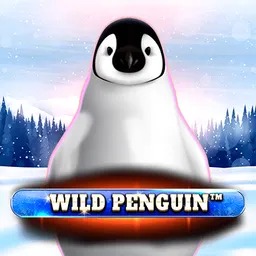 Wild Penguin